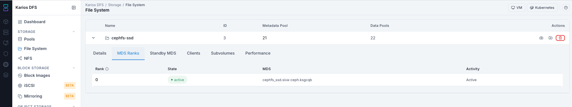 File System MDS ranks tab